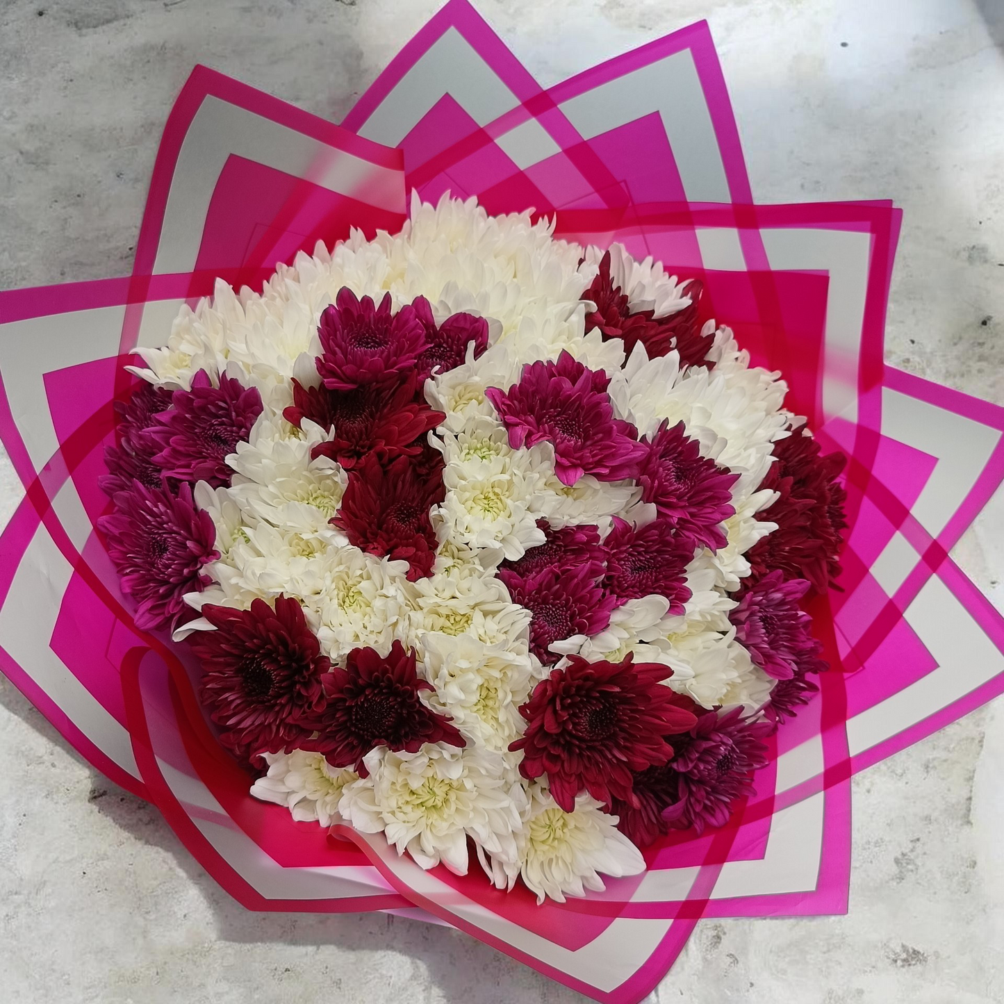 Beautiful Chrysanthemum